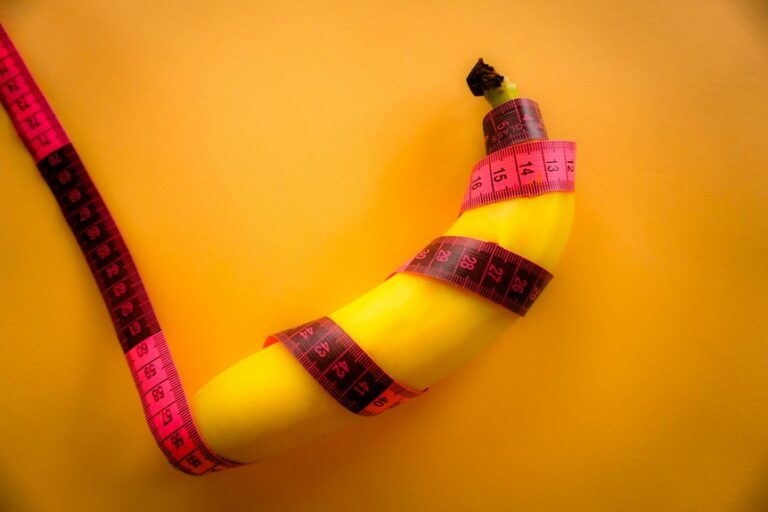 average penis size america